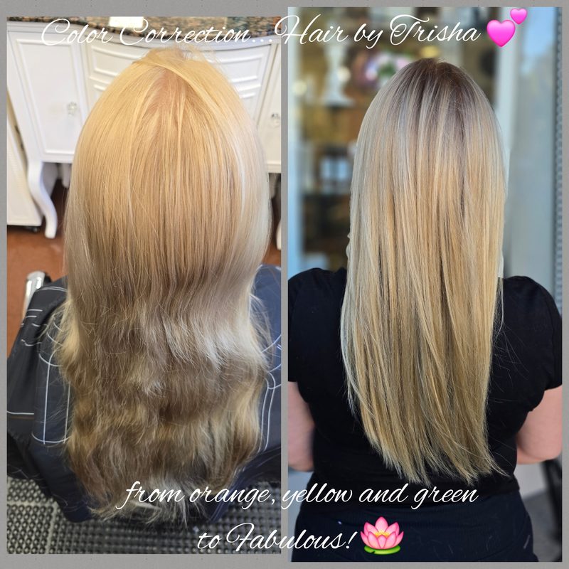 Before and after color correction: brassy, uneven blonde turned into cool ash blonde with lowlights and a shadow root, back view